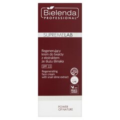 Veido kremas Bielenda SupremeLab Power Of Nature SPF15, 50 ml kaina ir informacija | Veido kremai | pigu.lt