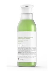 Plaukų šampūnas Botanicapharma Tea Tree and Aloe, 250ml kaina ir informacija | Šampūnai | pigu.lt