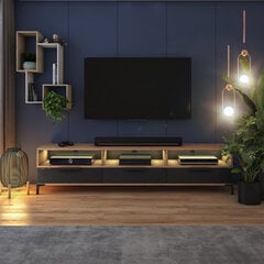 ТВ столик Selsey Rikke LED, коричневый/черный цена и информация | Тумбы под телевизор | pigu.lt