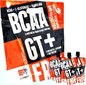 Extrifit BCAA GT+ ( 25 pakuotės po 80 g) - Avietė kaina ir informacija | Aminorūgštys | pigu.lt