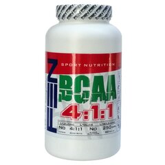 Fen BCAA 4:1:1, 240 kaps. цена и информация | Аминокислоты | pigu.lt