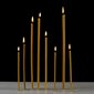 350 vnt. Bičių vaško žvakių geltonos spalvos Danilovo No140, 1000 g. цена и информация | Bažnytinės žvakės, žvakidės | pigu.lt