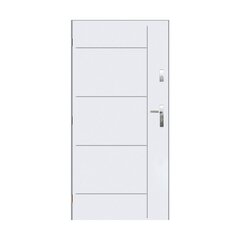 Внешняя дверь Panama, левосторонняя, белая, 90 см цена и информация | Уличные двери | pigu.lt