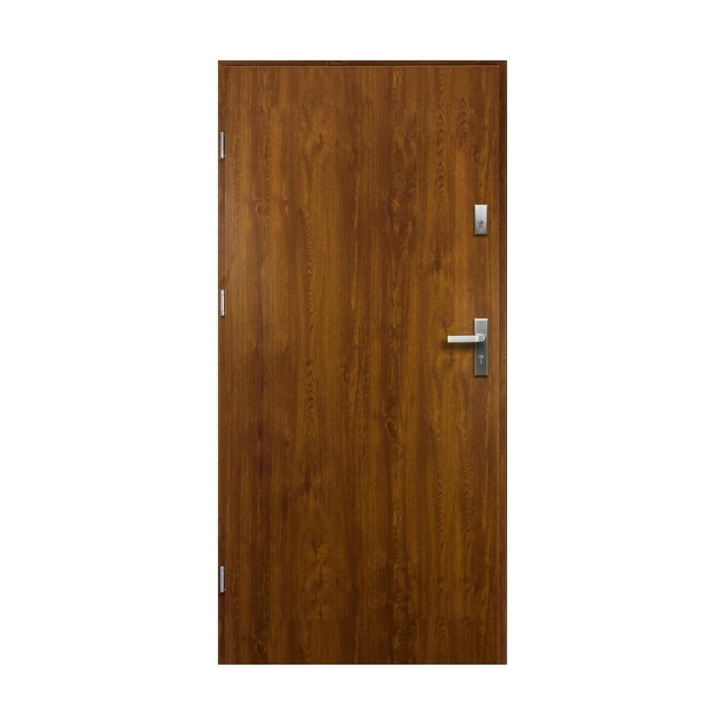 Buto durys Artemida, kairinės, auksinis ąžuolas, 90 cm kaina ir informacija | Lauko durys | pigu.lt