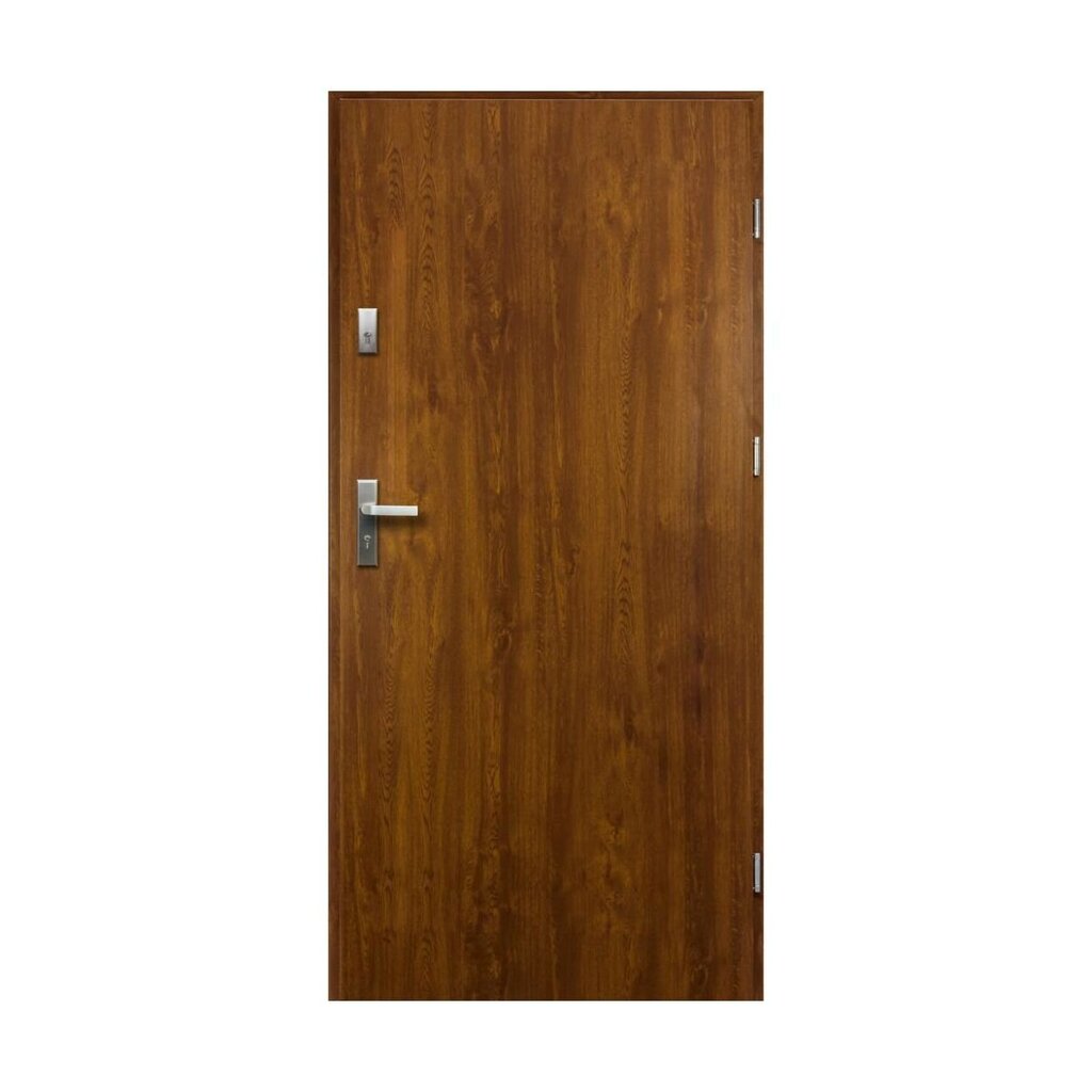 Buto durys Artemida, dešininės, auksinis ąžuolas, 90 cm kaina ir informacija | Lauko durys | pigu.lt