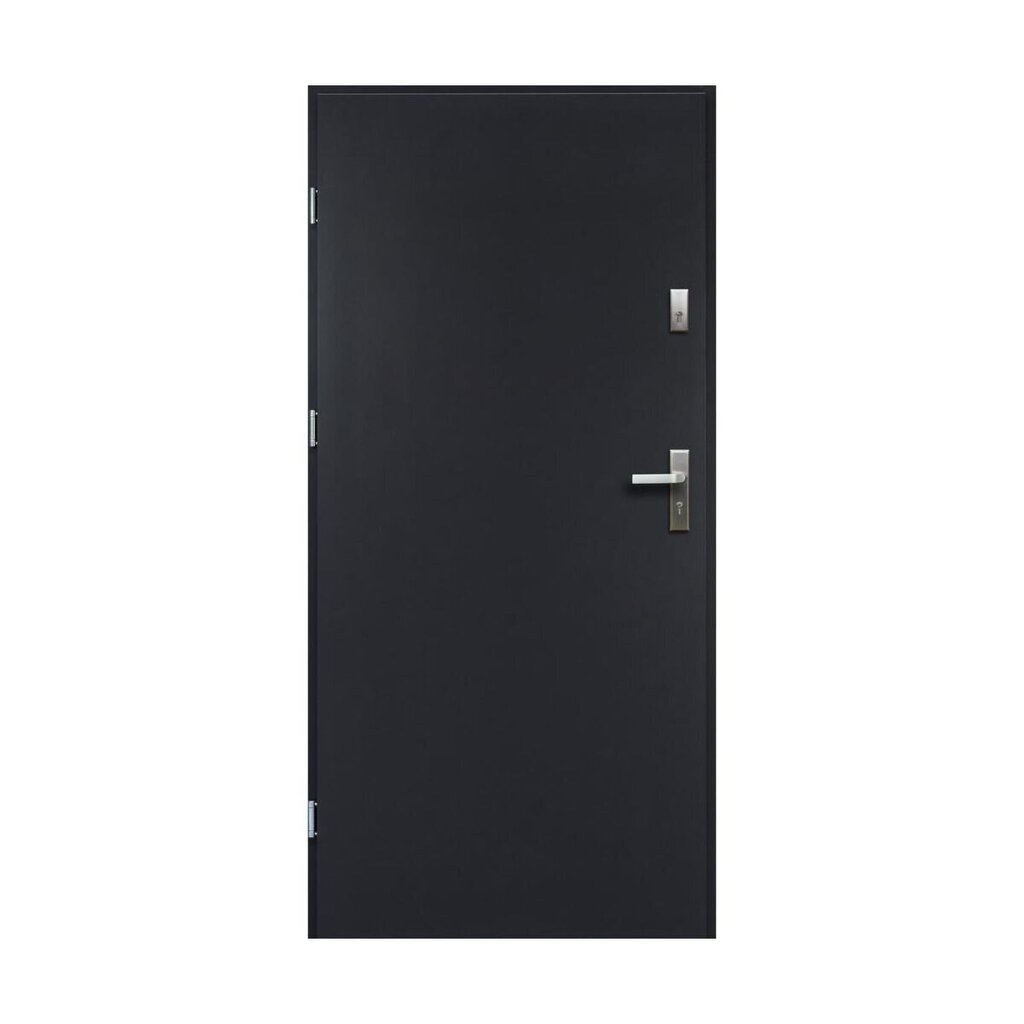 Buto durys Artemida, kairinės, antracitas, 90 cm kaina ir informacija | Lauko durys | pigu.lt