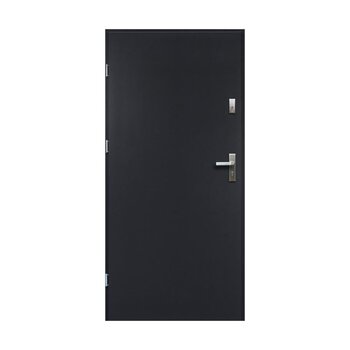 Buto durys Artemida, kairinės, antracitas, 80 cm kaina ir informacija | Lauko durys | pigu.lt