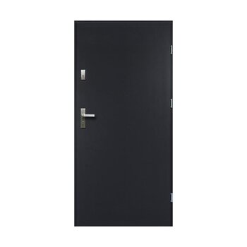 Buto durys Artemida, dešininės, antracitas, 90 cm kaina ir informacija | Lauko durys | pigu.lt