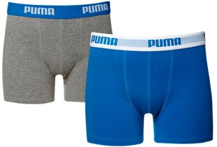 Trumpikės berniukams Puma Basic, pilkos/mėlynos kaina ir informacija | Apatiniai drabužiai berniukams | pigu.lt