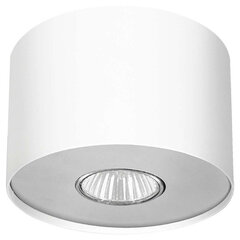 Потолочный светильник Point White Silver S цена и информация | Потолочные светильники | pigu.lt