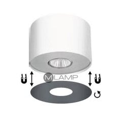 Lubinis šviestuvas POINT WHITE SILVER S, grafitinė spalva kaina ir informacija | Lubiniai šviestuvai | pigu.lt