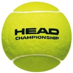 Мячи для уличного тенниса Head Championship, желтые цена и информация | Товары для большого тенниса | pigu.lt