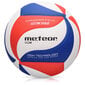 Tinklinio kamuolys Meteor MAX900, 5 dydis цена и информация | Tinklinio kamuoliai | pigu.lt