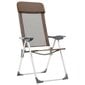 Sulankstoma kempingo kėdė vidaXL, ruda, 2 vnt. kaina ir informacija | Turistiniai baldai | pigu.lt