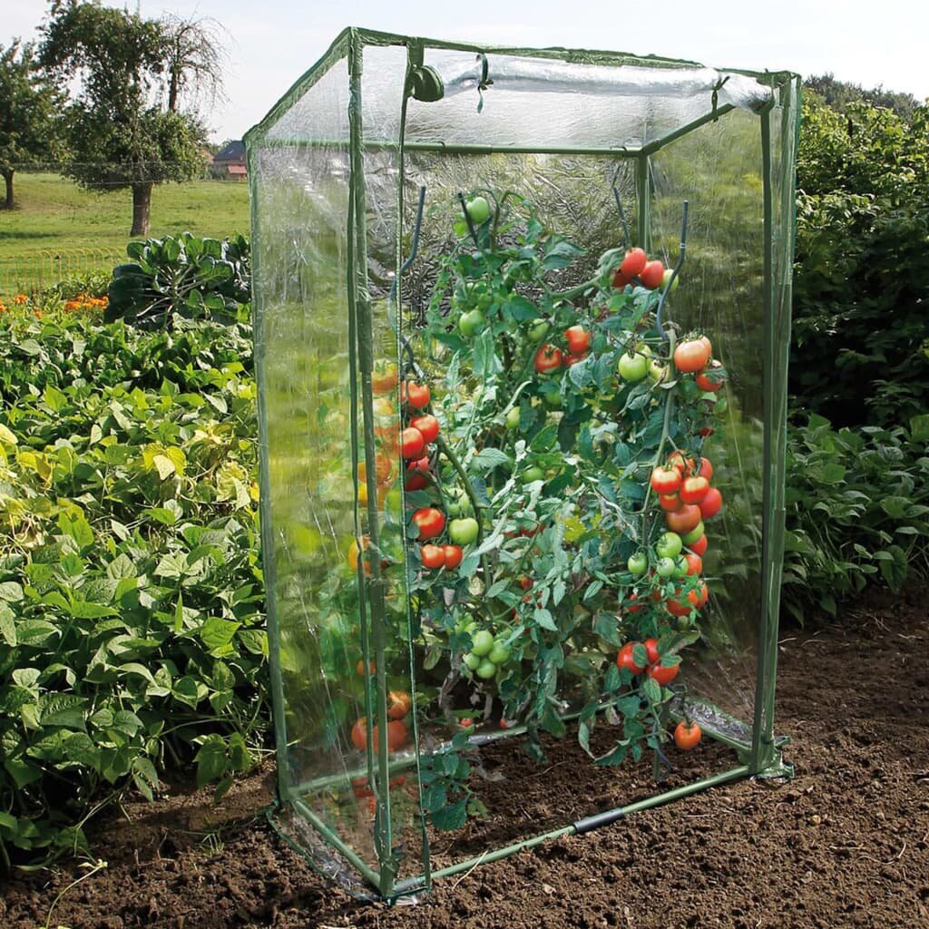 Šiltnamis pomidorams, Nature,100x50x150cm kaina ir informacija | Šiltnamiai | pigu.lt