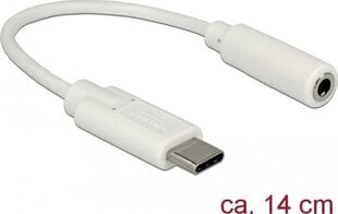 Delock 65913 цена и информация | Адаптеры, USB-разветвители | pigu.lt