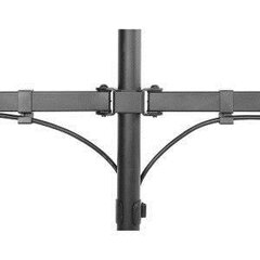 Maclean MC-884 monitor mount / stand цена и информация | Кронштейны для монитора | pigu.lt