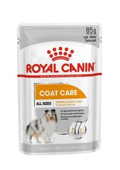 Royal Canin Ccn Coat Care drėgnas maistas šunims, 12x85g kaina ir informacija | Konservai šunims | pigu.lt