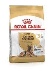 Royal Canin German Shepherd Adult +5 suaugusiems vokiečių aviganių veislių šunims, 3 kg kaina ir informacija | Sausas maistas šunims | pigu.lt