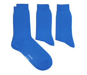 Мужские носки (три пары в упаковке) цена и информация | Мужские носки | pigu.lt
