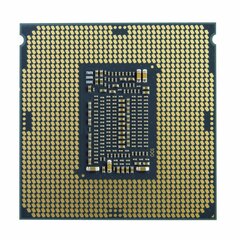Intel Процессор Xeon E-2224 BOX BX80684E2224 цена и информация | Процессоры (CPU) | pigu.lt