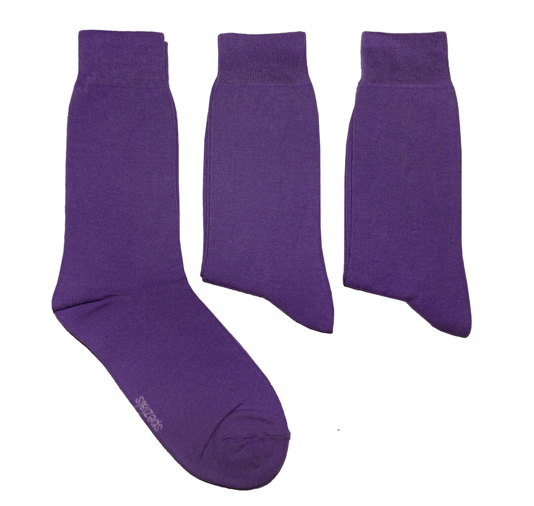 Vyriškos kojinės, violetinės kaina ir informacija | Vyriškos kojinės | pigu.lt
