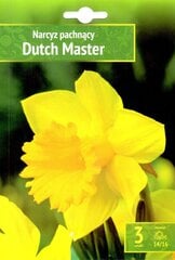 Нарциссы Dutch Master 3шт. цена и информация | Луковицы цветов | pigu.lt