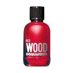 Purškiamas tualetinis vanduo Dsquared2 Red Wood Pour Femme, 100 ml kaina ir informacija | Dsquared2 Kvepalai, kosmetika | pigu.lt