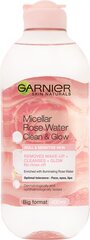 Мицеллярная очищающая вода для лица Garnier Skin Active 400 мл цена и информация | Средства для очищения лица | pigu.lt