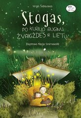 Stogas, po kuriuo auginu žvaigždes ir lietų цена и информация | Книги для детей | pigu.lt