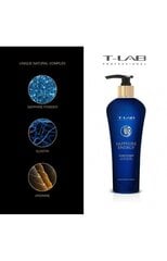 Шампунь для укрепления волос T-LAB Professional Professional Sapphire Energy Duo Shampoo, 300 мл цена и информация | Шампуни | pigu.lt