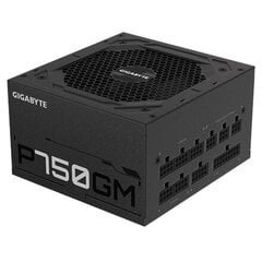 Gigabyte P750GM kaina ir informacija | Maitinimo šaltiniai (PSU) | pigu.lt