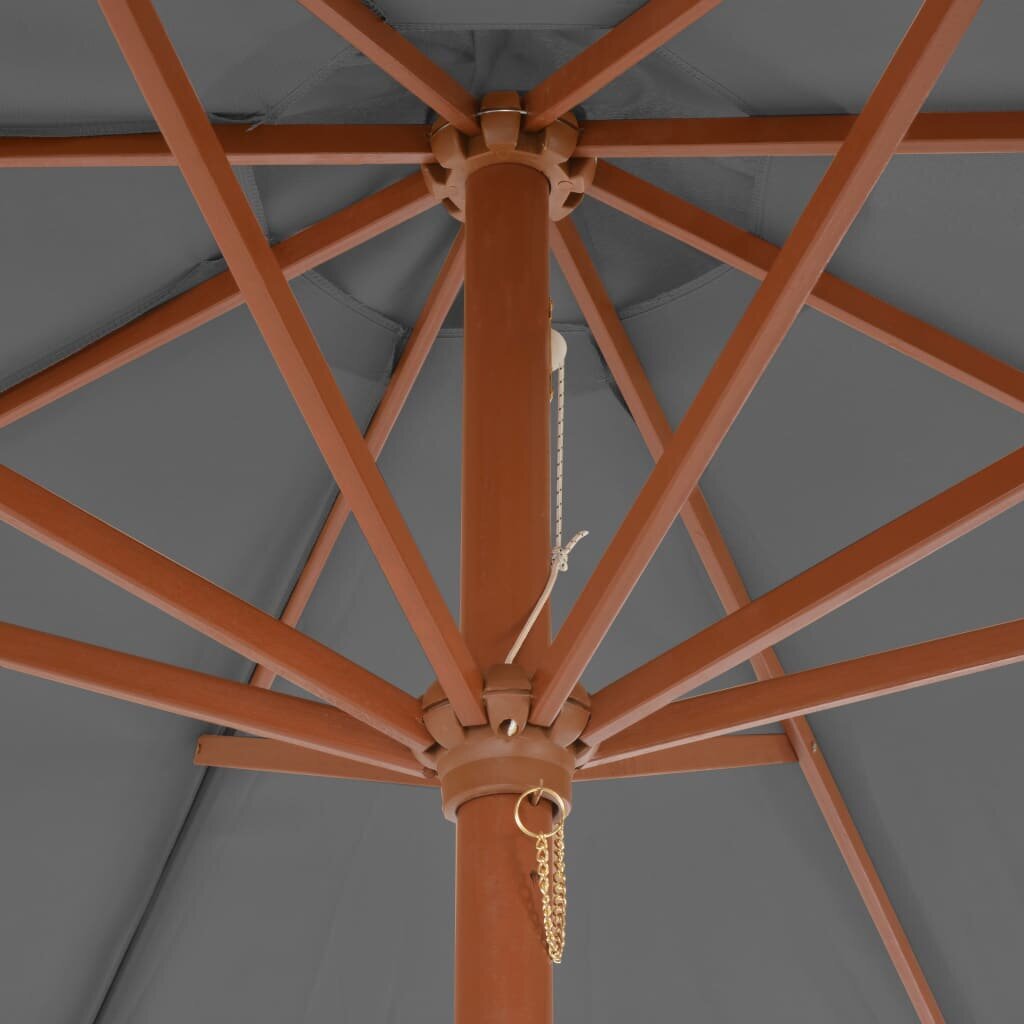 Lauko skėtis su mediniu stulpu, 300 cm, antracito spalvos kaina ir informacija | Skėčiai, markizės, stovai | pigu.lt