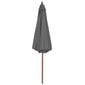 Lauko skėtis su mediniu stulpu, 300 cm, antracito spalvos kaina ir informacija | Skėčiai, markizės, stovai | pigu.lt