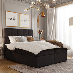 Кровать Selsey Erlar 160x200 см, черная цена и информация | Кровати | pigu.lt