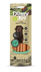 Doggy Joy - avienos mėsos pagaliukai - skanėstas šunims 45g kaina ir informacija | Skanėstai šunims | pigu.lt