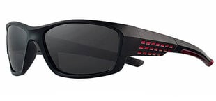 Солнцезащитные очки Label PC025 Polarized цена и информация | Солнцезащитные очки для мужчин | pigu.lt