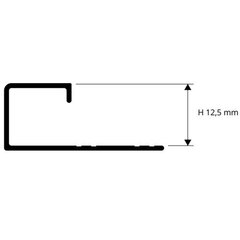 Aliuminis anoduotas profilis Titanium H 125mm, 2.7m kaina ir informacija | Sujungimo profiliai | pigu.lt