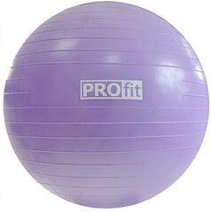 Gimnastikos kamuolys su pompa Profit DK 2102, 45 cm, violetinis kaina ir informacija | Gimnastikos kamuoliai | pigu.lt