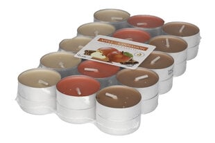 Ароматические чайные свечи Apple&Cinnamon, 30 шт. цена и информация | Подсвечники, свечи | pigu.lt