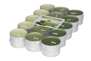 Ароматические чайные свечи Green Tea, 30 шт. цена и информация | Подсвечники, свечи | pigu.lt