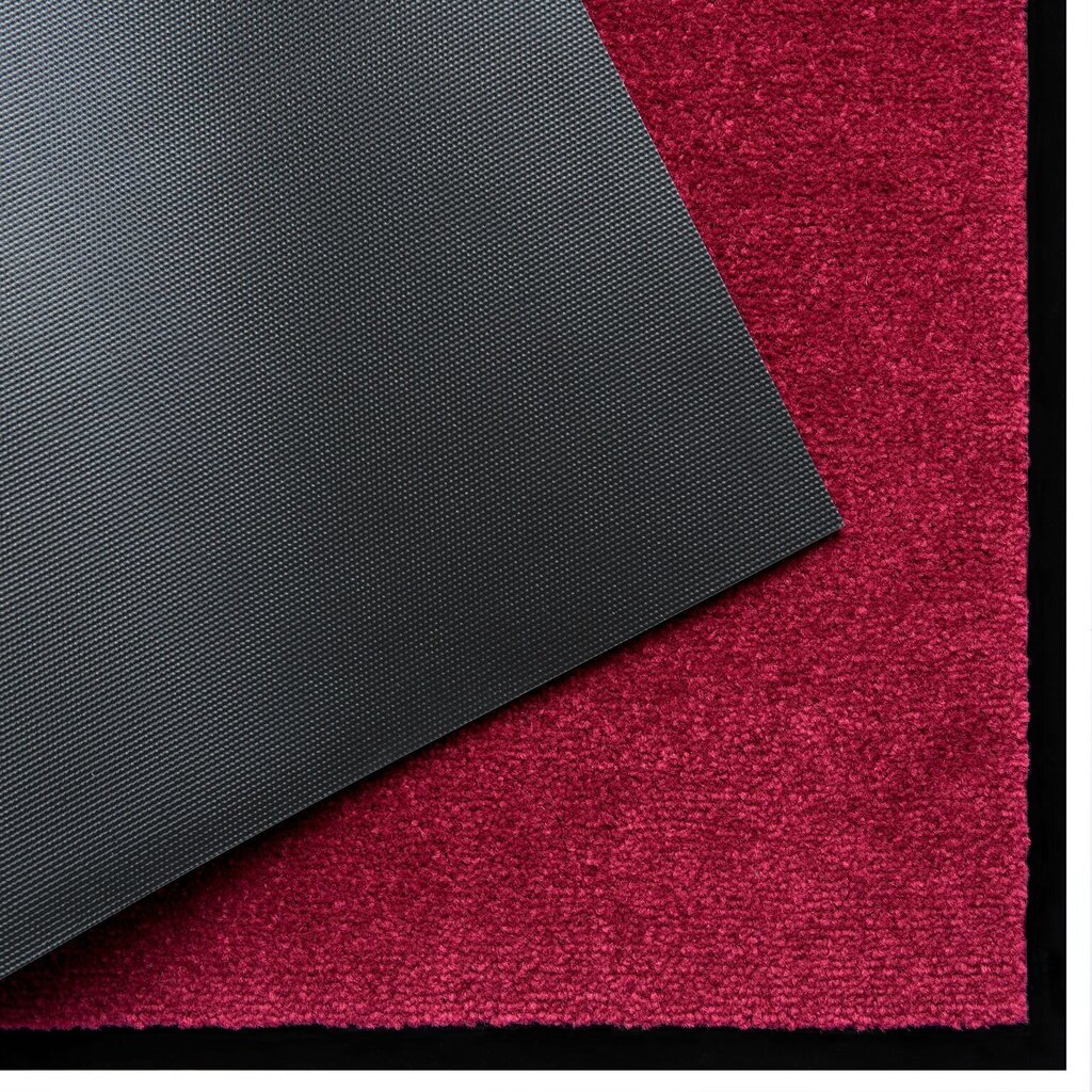 Durų kilimėlis Red 40x60 cm kaina ir informacija | Durų kilimėliai | pigu.lt