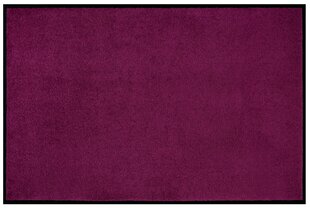 Дверной коврик Violet 60x80 см цена и информация | Придверные коврики | pigu.lt