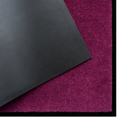 Дверной коврик Violet 80x120 см цена и информация | Придверные коврики | pigu.lt