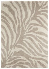 Mint Rugs kilimas Allure Desert, 120x170 cm kaina ir informacija | Kilimai | pigu.lt