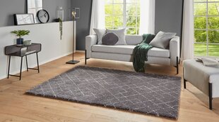 Mint Rugs kilimas Allure Archer, 120x170 cm kaina ir informacija | Kilimai | pigu.lt