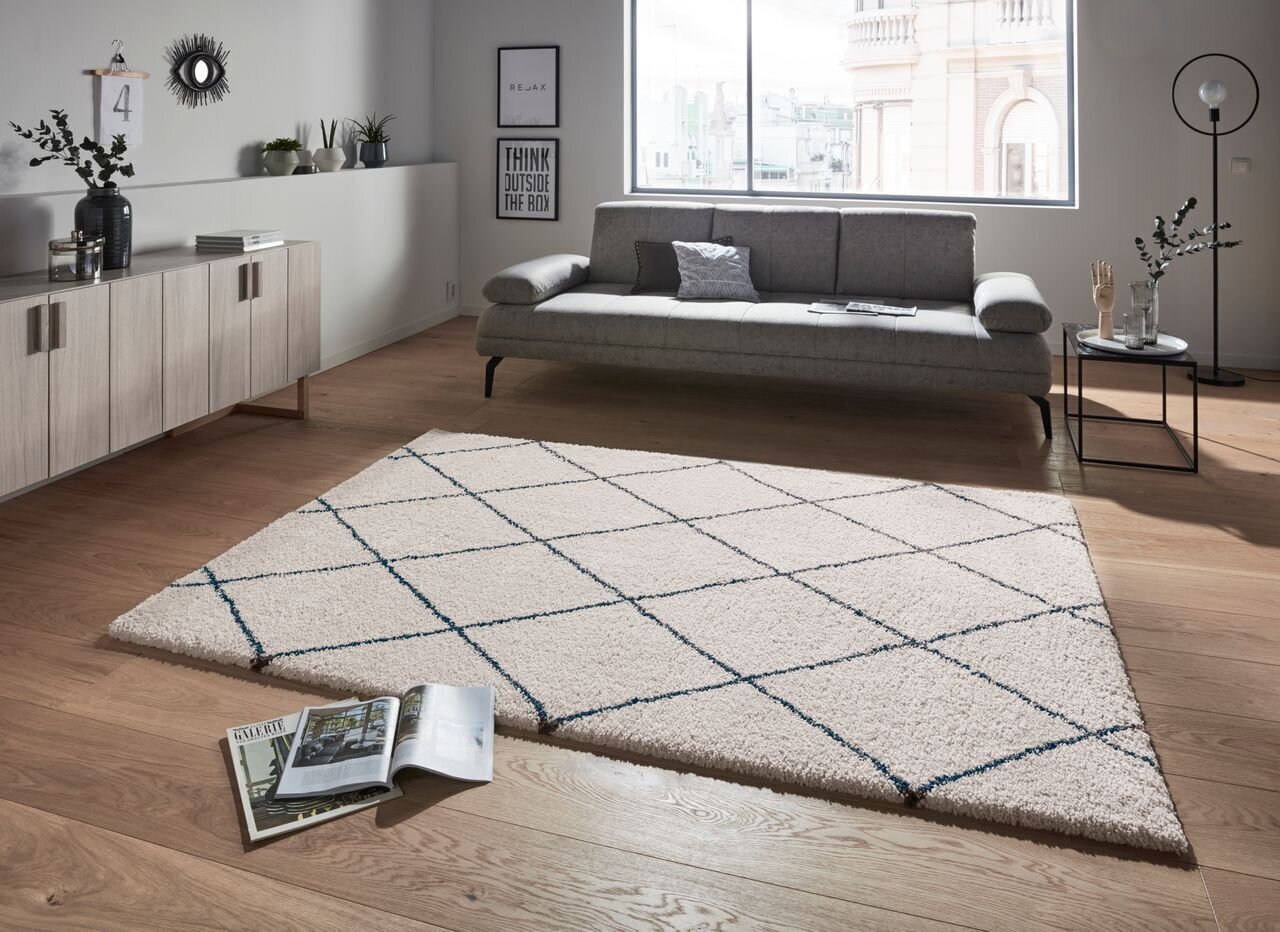 Mint Rugs kilimas Allure Feel, 120x170 cm kaina ir informacija | Kilimai | pigu.lt