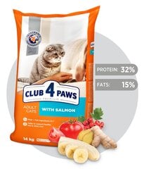 CLUB 4 PAWS Premium pilnavertis sausas maistas suaugusioms katėms su lašiša, 14kg kaina ir informacija | Sausas maistas katėms | pigu.lt