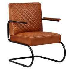 Krėslas, 63x75x88cm, šviesiai rudas kaina ir informacija | Lauko kėdės, foteliai, pufai | pigu.lt