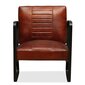 Poilsio kėdė, ruda kaina ir informacija | Svetainės foteliai | pigu.lt